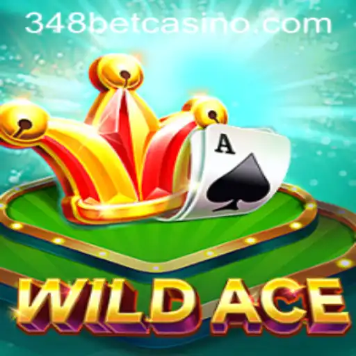 Discover the Exciting World of WildAce: The Ultimate 348BET Experience